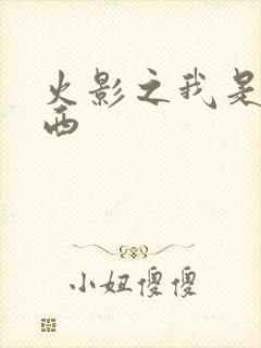 火影之我是卡卡西