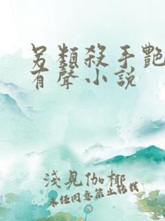 另类杀手艳福星有声小说