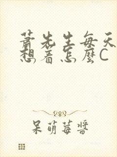 萧先生每天都在想着怎么C