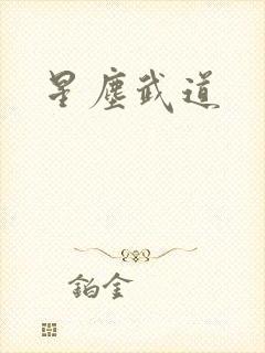 星尘武道