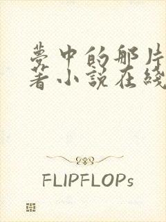 梦中的那片海原著小说在线阅读