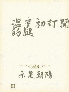 温实初打开眉庄的腿