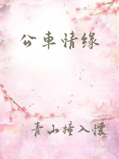 公车情缘