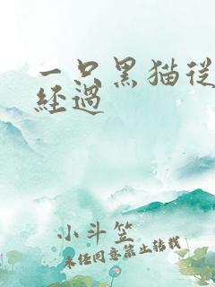 一只黑猫从眼前经过