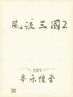 风流三国2