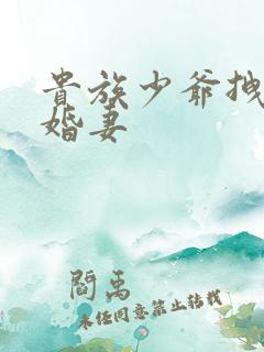 贵族少爷拽拽未婚妻