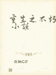 重生之不朽传奇 小说