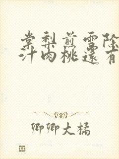 棠梨煎雪除了蜜汁肉桃还有什么肉