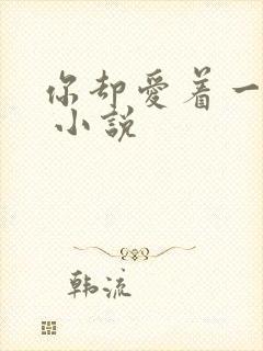 你却爱着一个他 小说