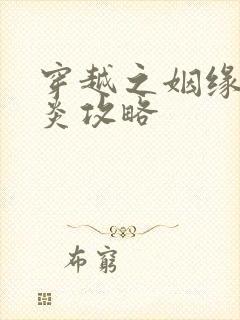 穿越之姻缘劫萧炎攻略