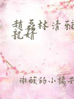 赵磊林清雅上门龙婿