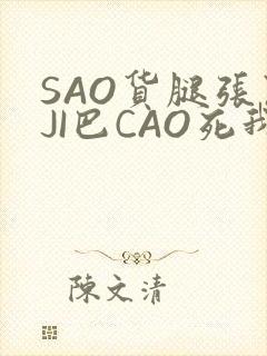 SAO货腿张开JI巴CAO死我