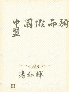 中国假面骑士联盟