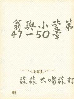 翁与小莹第十部47一5O章