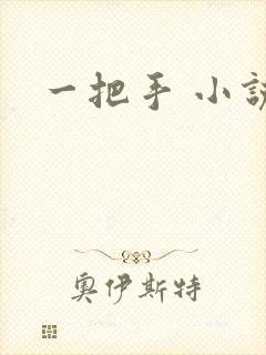 一把手 小说