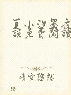 夏小汐墨夜霆小说免费阅读