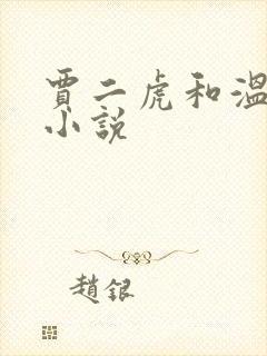 贾二虎和温如意小说