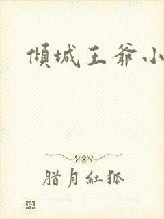 倾城王爷小小妃