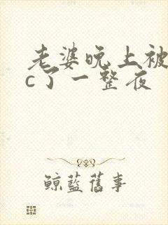 老婆晚上被躁狂c了一整夜