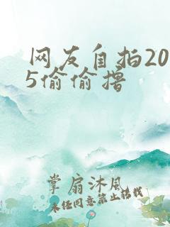 网友自拍2015偷偷撸