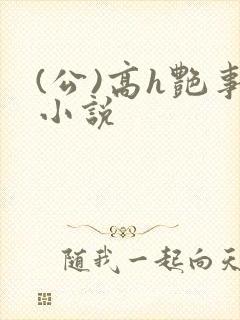 (公)高h艳事小说
