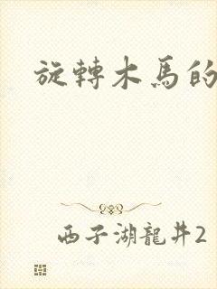 旋转木马的鏖战