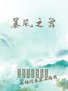 暴风之舞