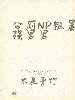 公厕NP粗暴H强男男