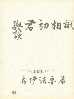 与君初相识 小说