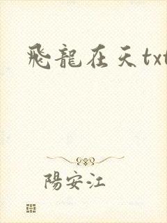 飞龙在天txt