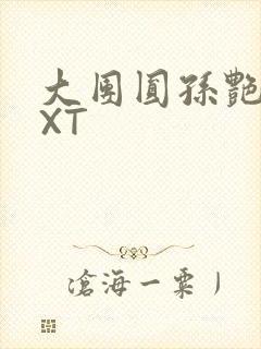 大团圆孙艳梅TXT