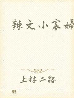 辣文小寡妇