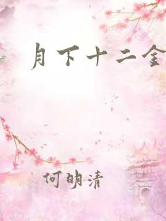 月下十二金钗