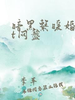 暗黑系暖婚txt网盘