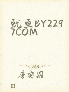 鱿鱼BY2297COM