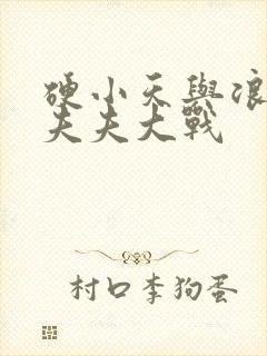 硬小天与浪小辉夫夫大战