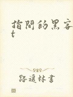 指间的黑客txt
