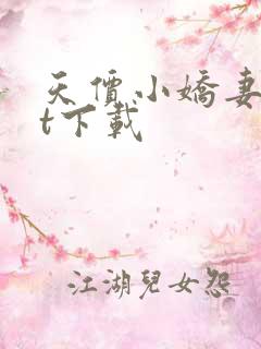 天价小娇妻txt下载