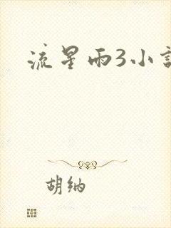 流星雨3小说