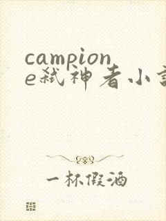 campione弑神者小说