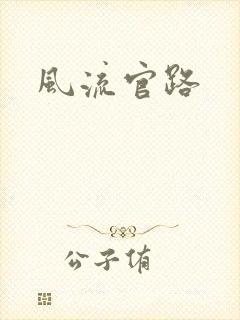 风流官路
