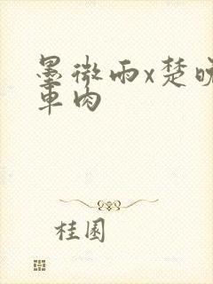 墨微雨x楚晚宁车肉