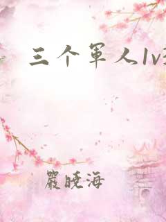 三个军人1v3