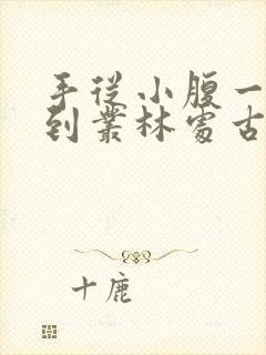 手从小腹一路开到丛林处古代