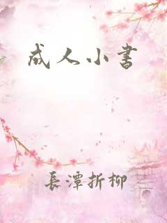 成人小书