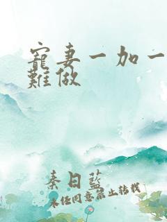 宠妻一加一老婆难做