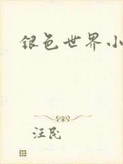 银色世界小说