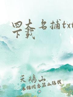 四大名捕txt下载