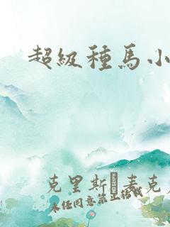超级种马小说