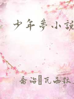 少年梦小说